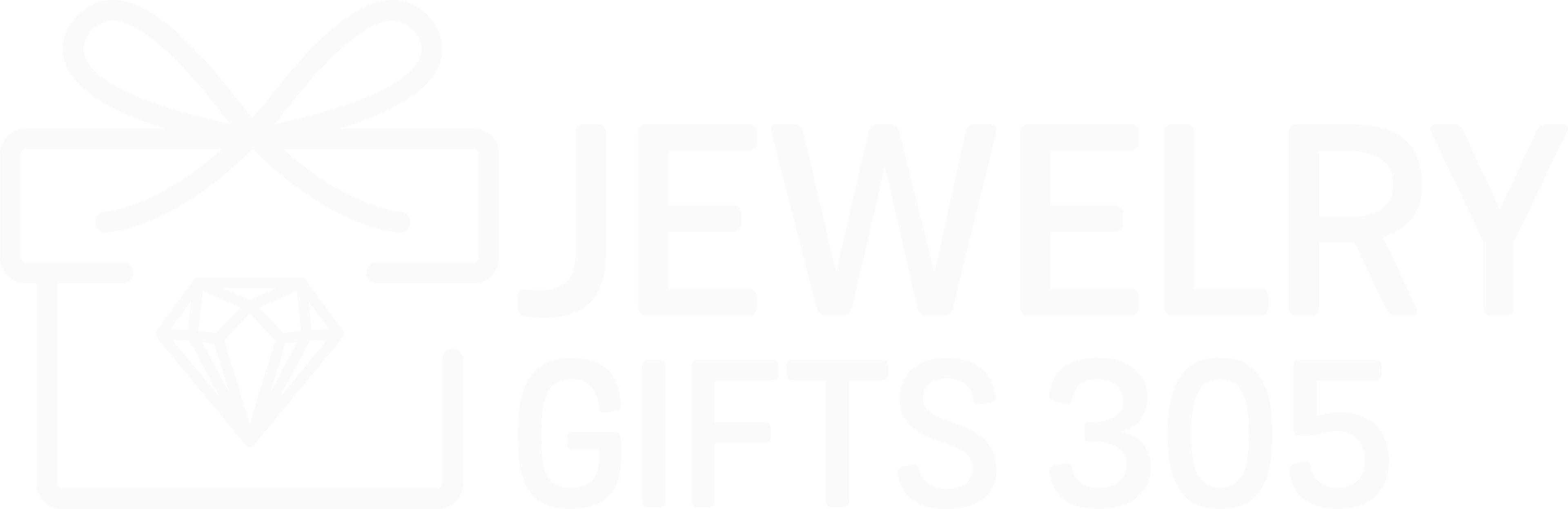 Jewelry Gifts 305